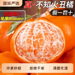 包邮 正宗四川不知火丑橘丑耙耙柑哭桔优选当季 新鲜现摘柑橘整箱