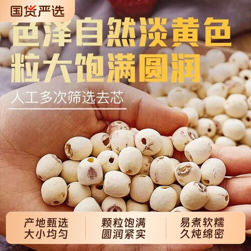 正宗湘潭莲子干货精选白莲子大颗粒无芯去皮香甜莲子羹煮粥煲汤