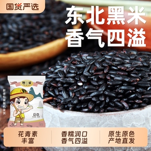 东北黑米新米杂粮正宗香米五谷杂粮糙米饭非紫米糯米5斤黑豆原味