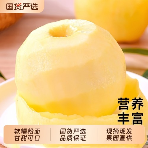 脆爽清甜正宗黄金奶油富士苹果