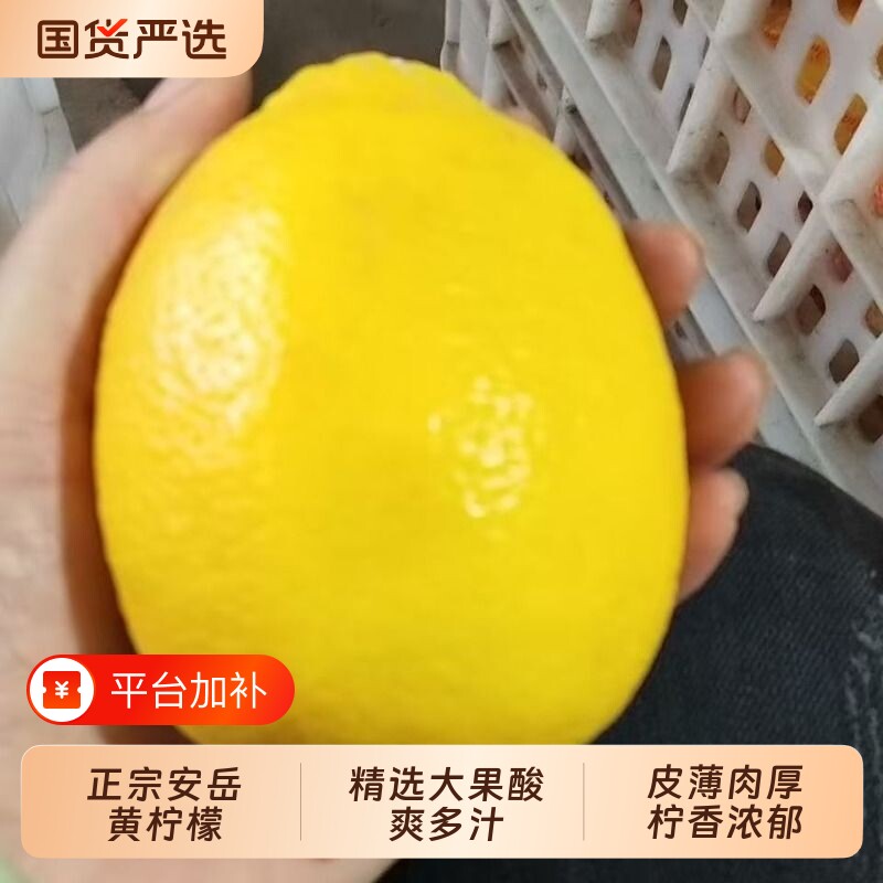 新鲜黄柠檬鲜果当季水果现摘现发安岳柠檬品质独立包装整箱皮薄