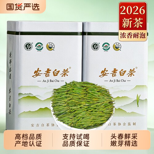 安吉白茶2026新茶明前特级绿茶
