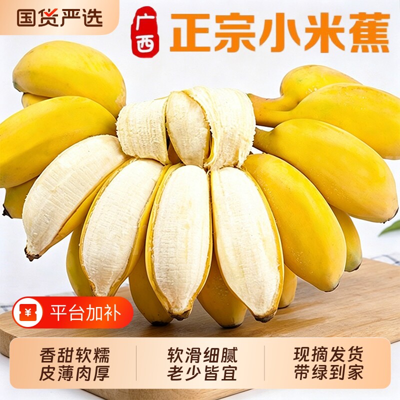 正宗广西小米蕉当季新鲜水果小香蕉产地直发小芭蕉酸甜蕉自然熟