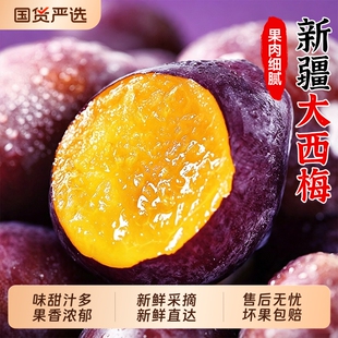 新疆大西梅鲜果新鲜水果当季整箱李子法兰西应季蓝蜜西梅时令礼盒