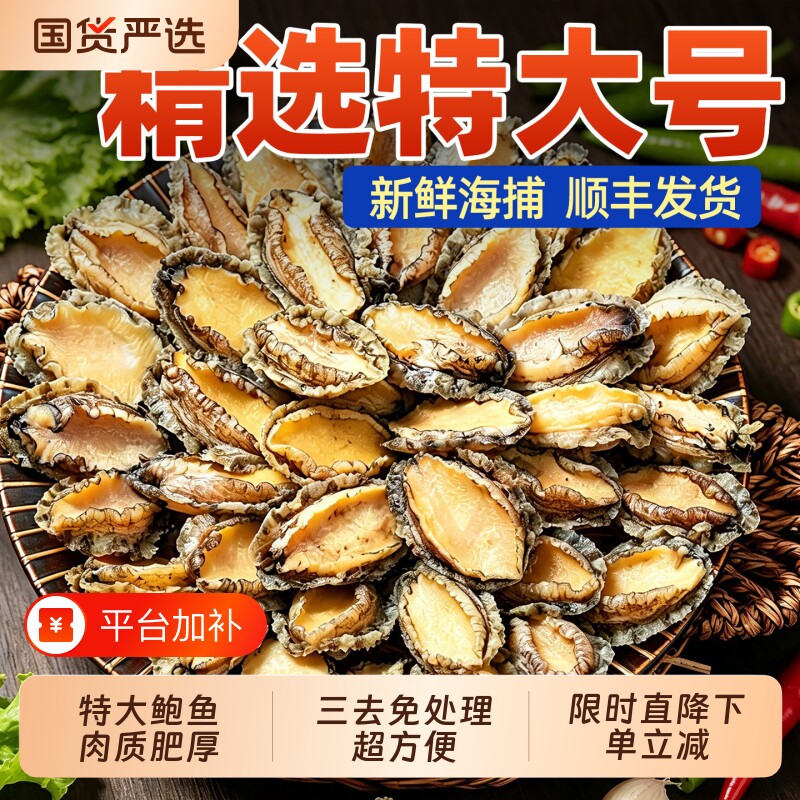 新鲜活冻鲍鱼肉鲜活速冻超大海鲜水产生鲜免处理火锅食材批发商用