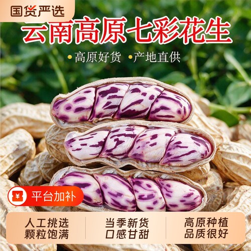 云南特产七彩花生熟制带壳
