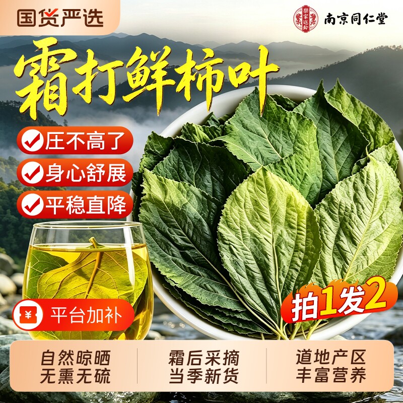 同仁堂柿子叶茶降霜后绞股蓝血泡水喝压官方旗舰店新鲜养生茶正品