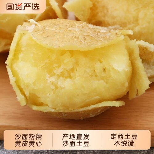 正宗甘肃定西沙面土豆黄心马铃薯蔬菜洋芋旱沙地种植新鲜9斤黄皮