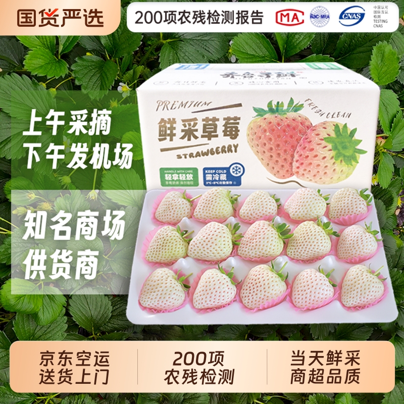 送货上门淡雪白草莓白雪公主礼盒装新鲜高端送女友白色配送空运
