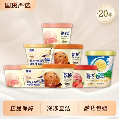 【20杯】甄稀杯新品奶皮子酸奶海盐焦糖冰淇淋香草味奶昔雪糕组合