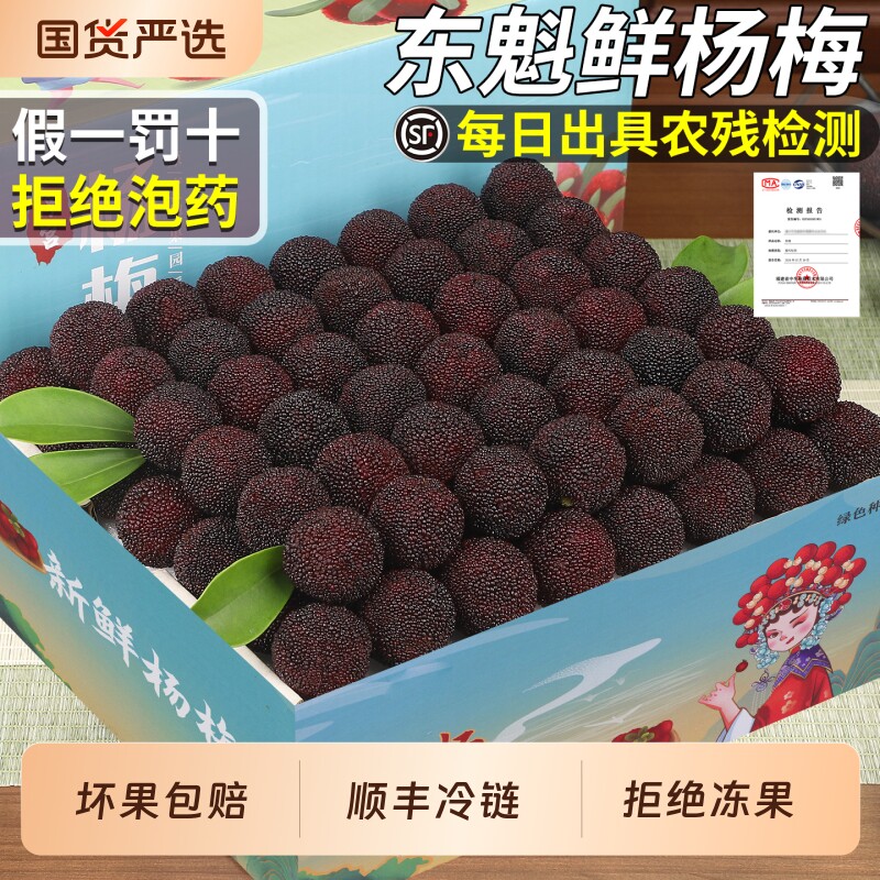 【拒绝泡药!】顺丰正宗漳州东魁鲜杨梅现摘现发当季新鲜水果包邮