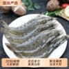 【冠鲜行动】厄瓜多尔白虾3斤净重2.8斤