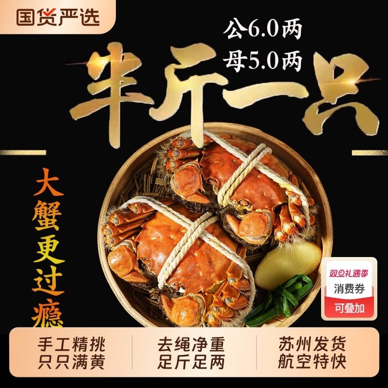 【特大蟹】10只现货大闸蟹鲜活螃蟹全母礼盒阳澄后荡湖官方旗河蟹