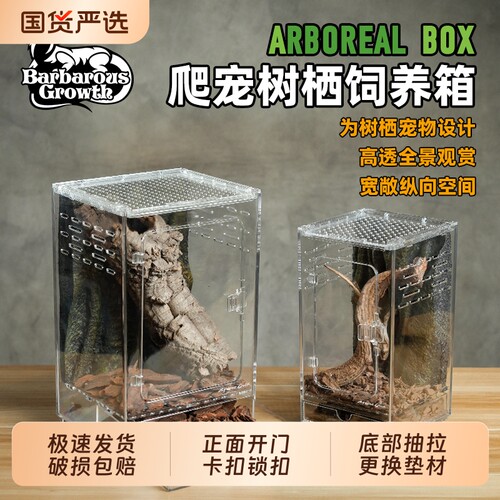 亚克力生态饲养箱|超6000次加购