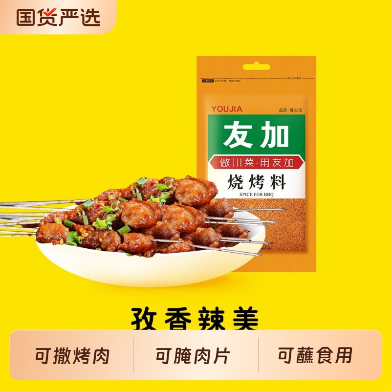 友加烧烤料100g麻辣撒料淄博烧烤调味料四川蘸料腌料家用烤肉味精