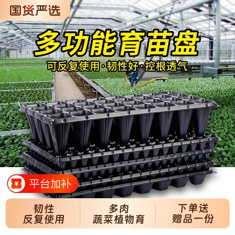 育苗盘穴盘塑料杯种植家用营养钵育苗盆蔬菜玉米西瓜扦插托盘种子