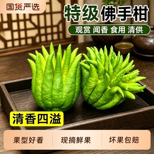 佛手柑鲜果室内摆件禅意拜佛