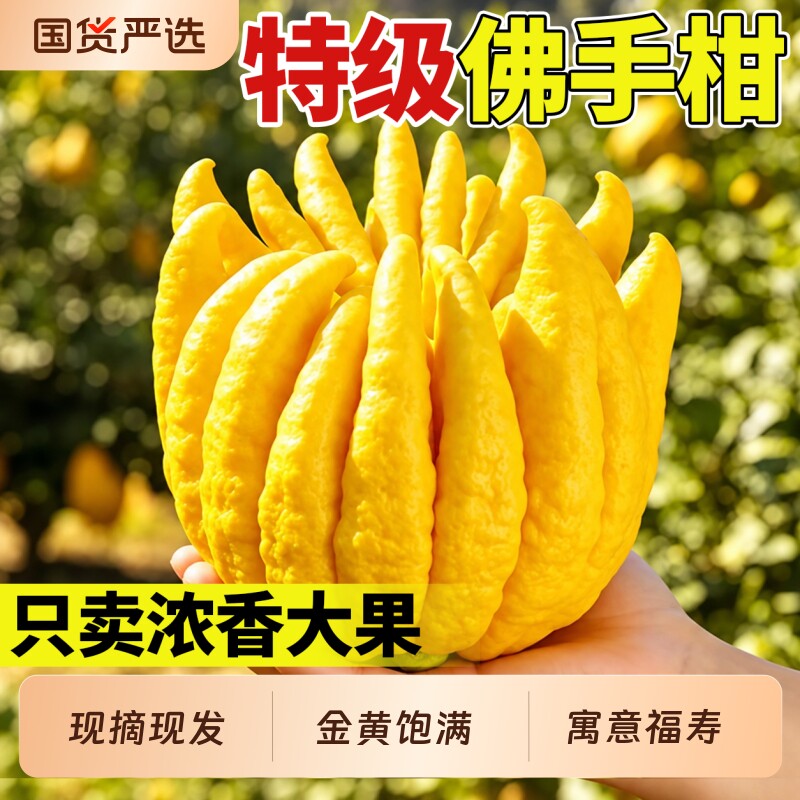 佛手柑鲜果天然香薰室内观赏摆件新鲜可食用香橼佛手果瓜桌面盆栽