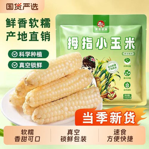 拇指小玉米云南西双版纳手指玉米