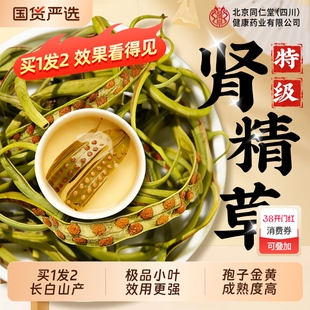 长白山肾精草野生黄金草嗷嗷叫正品男士养生肾茶化石草官方旗舰店