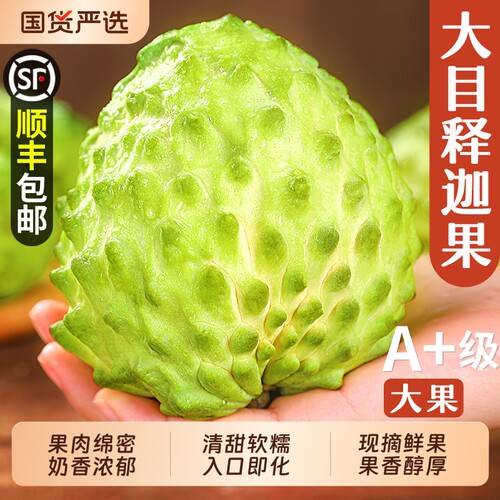 顺丰【大目释迦果】冰淇淋口感