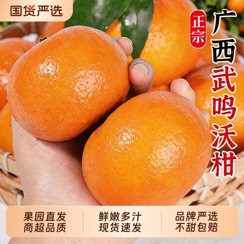 广西武鸣沃柑鲜甜多汁