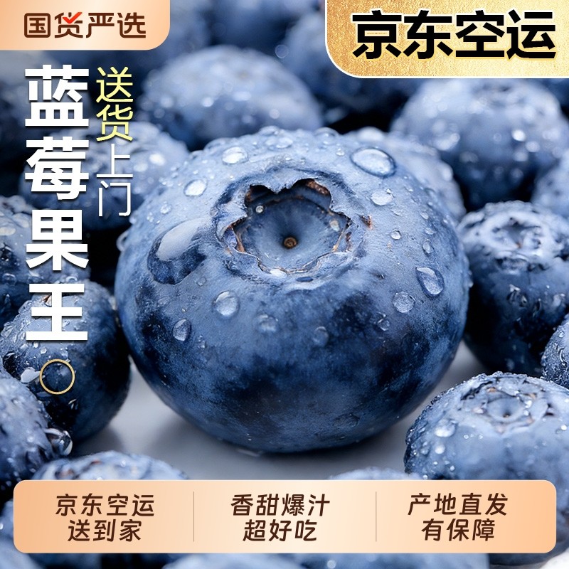 云南蓝莓新鲜水果高端鲜果当季怡颗高山L25花香孕妇整箱京东包邮,水产肉类/新鲜蔬果/熟食,蓝莓,淘宝优惠券,粉丝福利购,淘宝优惠卷