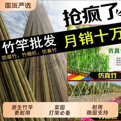 竹杆爬藤架竹竿菜园搭架