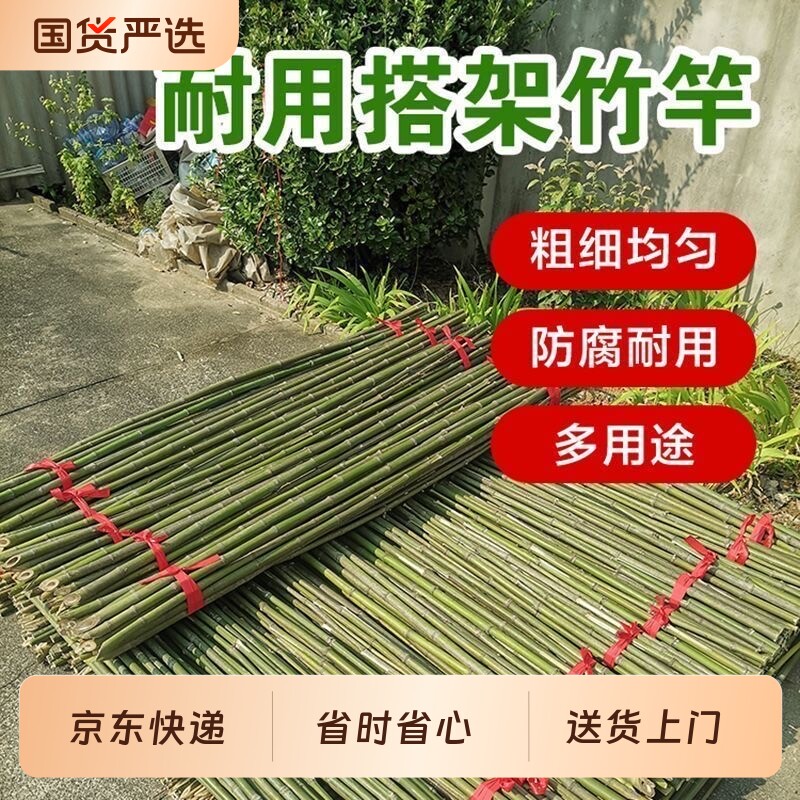 小竹竿菜园搭架豆角黄瓜竹子支架蔬菜爬藤竹杆篱笆栅栏彩旗杆围栏