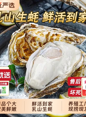 威海鲜活牡蛎乳山生蚝4XL5斤11-12只生鲜海鲜烧烤食材水产年货节
