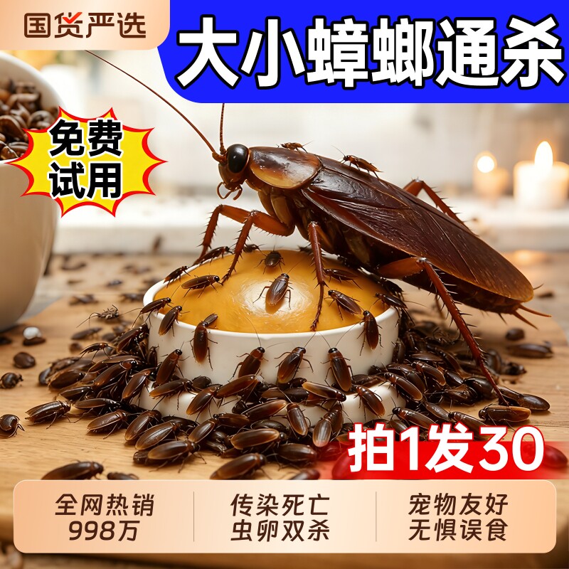 蟑螂药无毒家用全窝端室内强效除双杀虫卵灭蟑螂第一名正品旗舰店