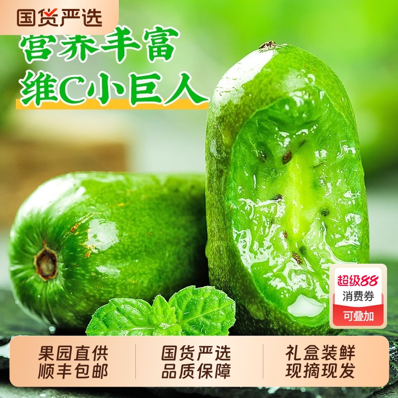 软枣猕猴桃丹东特产奇异莓圆枣子东北直发奇异果现摘果园礼盒装