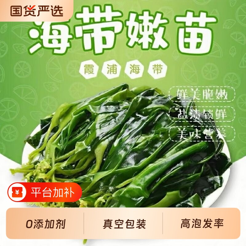 闲岛主海带苗嫩苗无特级新鲜盐渍海带非干货火锅凉拌霞浦特产美味