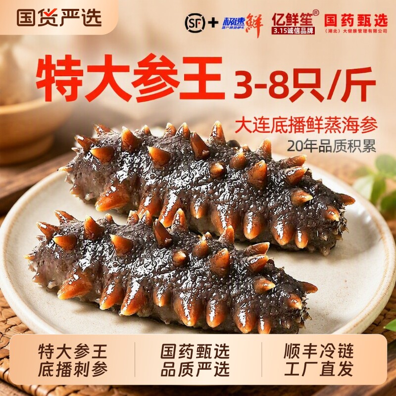 大连海参500g特大号单个图片
