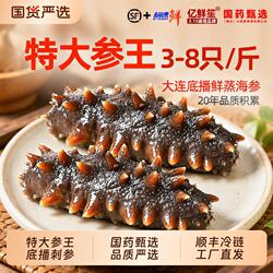 大连海参即食刺参鲜活辽参年货野生海生500g特大号单个装新鲜底播