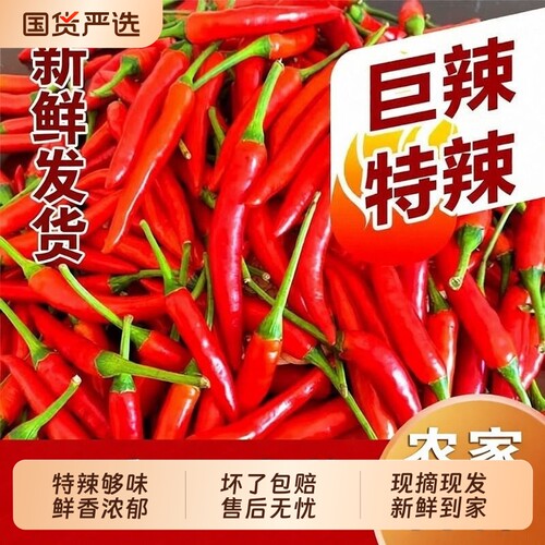 新鲜小米椒香辣新货产地直发