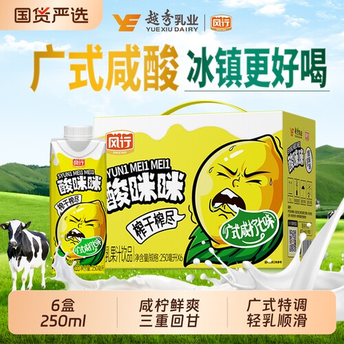 风行酸咪咪广式咸柠七风味250ml*6盒轻乳果汁风味饮品