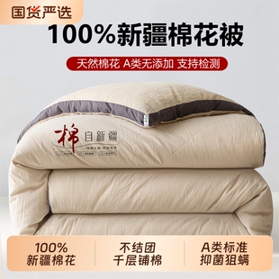 四季款A类100%新疆棉花被加厚冬被棉絮被子被芯宿舍被褥子春秋被