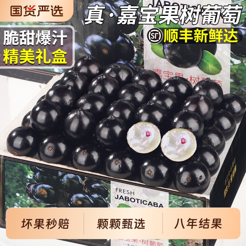 顺丰树葡萄嘉宝果当季新鲜水果提子大果礼盒装整箱包邮果子送礼