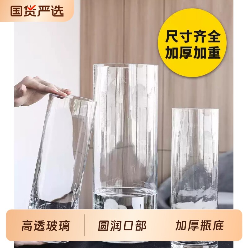 透明加厚直筒玻璃花瓶养鱼水培植物雪柳龙柳马醉木富贵竹专用水养
