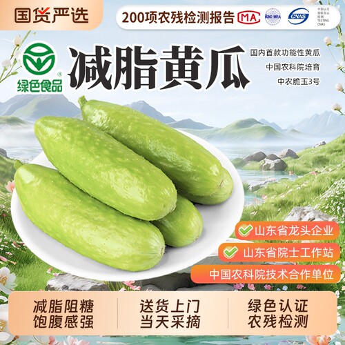 中农脆玉3号减脂黄瓜新鲜生吃绿色即食非转基因现发蔬菜生鲜现摘
