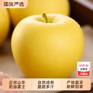 裕正宗山东烟台黄金奶油富士苹果新鲜水果当季现摘多汁脆甜箱装