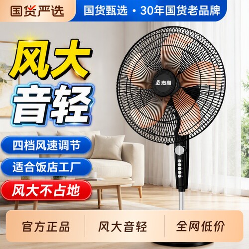 志高遥控大风力落地扇静音省电