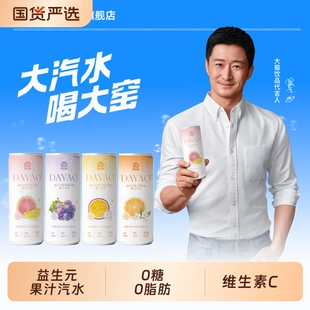 大窑益生元0糖0脂气泡水330ml*12罐