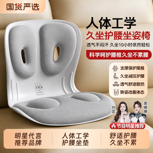 OES护腰久坐神器腰靠腰托靠垫