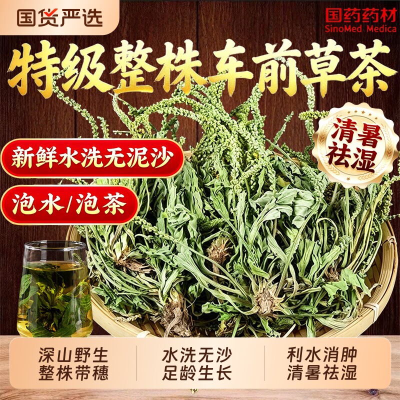 车前草野生新鲜中药材正品官方旗舰店干货车轮草泡茶搭配桂枝茯苓