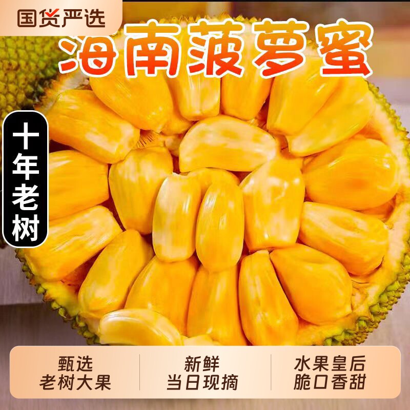 海南三亚黄肉菠萝蜜新鲜水果生鲜一整个特产干葆包邮当季热带