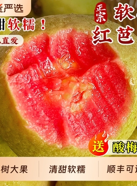 广西软糯红心芭乐5斤新鲜水果番石榴脆甜软糯胭脂红奶油整箱包邮
