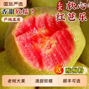广西软糯红心芭乐5斤新鲜水果番石榴脆甜软糯胭脂红奶油整箱 包邮