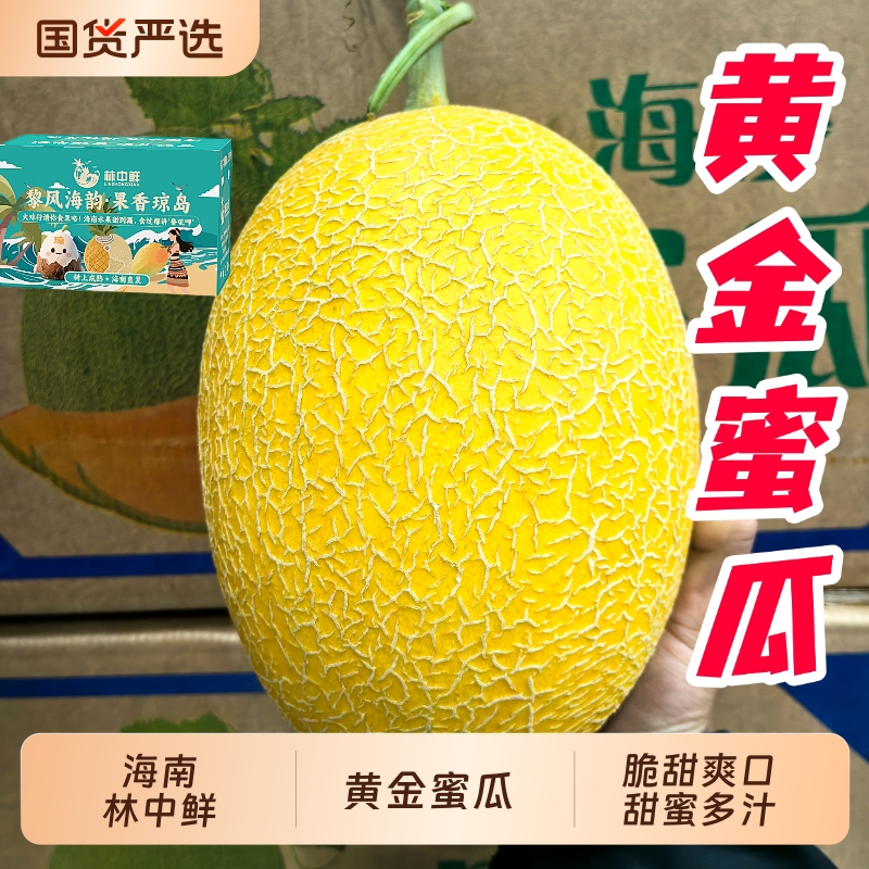 林中鲜海南黄金蜜瓜脆甜多汁